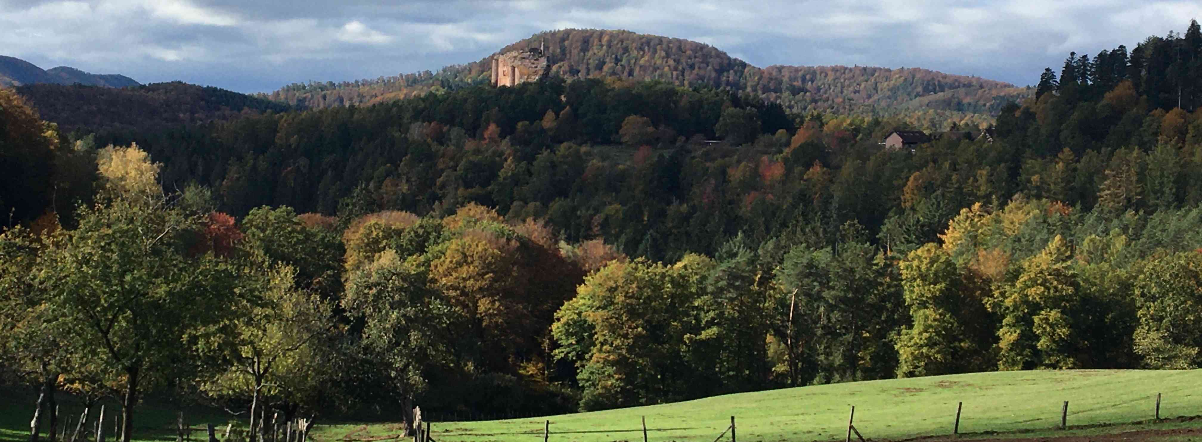 Château fort de Fleckenstein